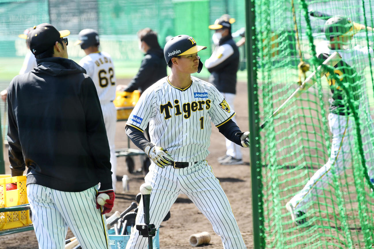 ティー打撃で気合の表情を見せる森下（撮影・前岡正明）
