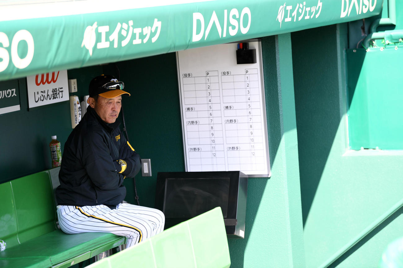 ベンチに座る岡田監督（撮影・前岡正明）