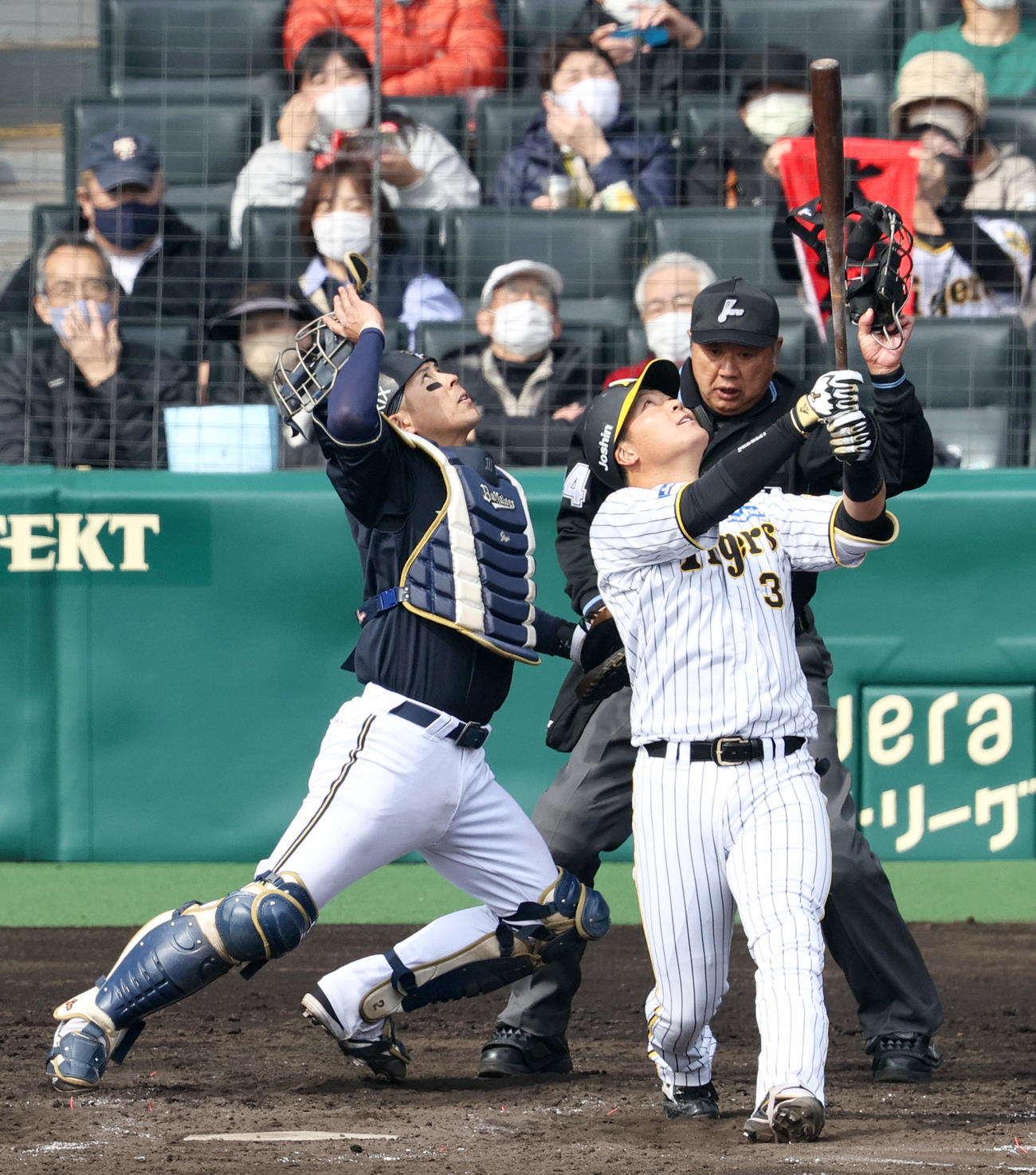 阪神対オリックス　3回裏阪神無死、大山は捕邪飛を高々と打ち上げる（撮影・上山淳一）