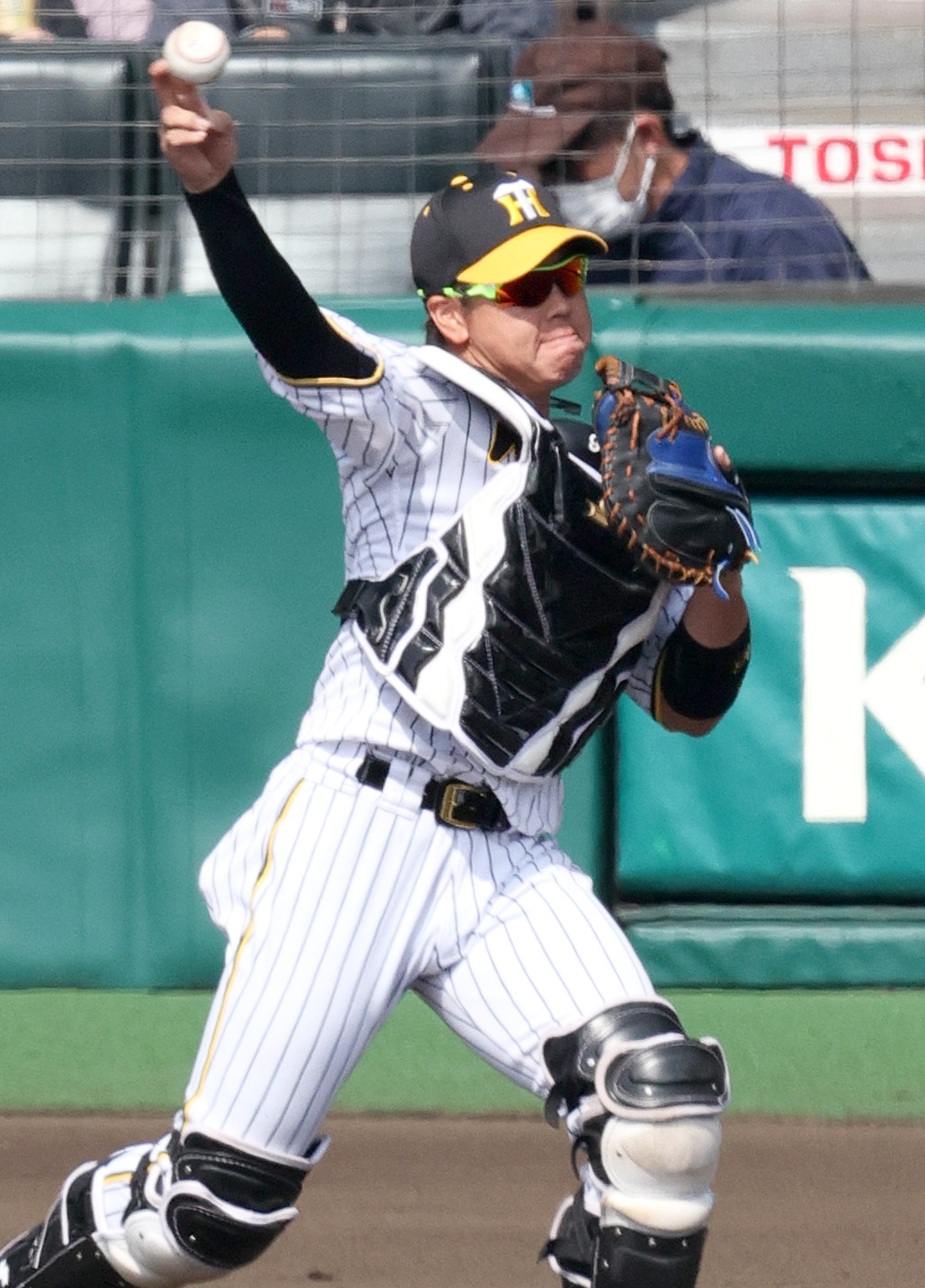 オープン戦・阪神対オリックス　試合前のシートノックで送球する梅野（撮影・上山淳一）