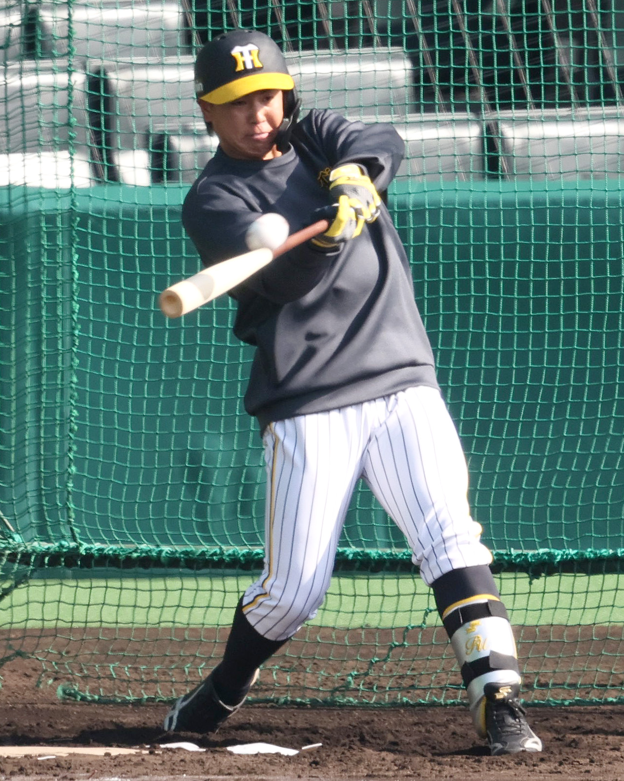フリー打撃する梅野（撮影・上山淳一）
