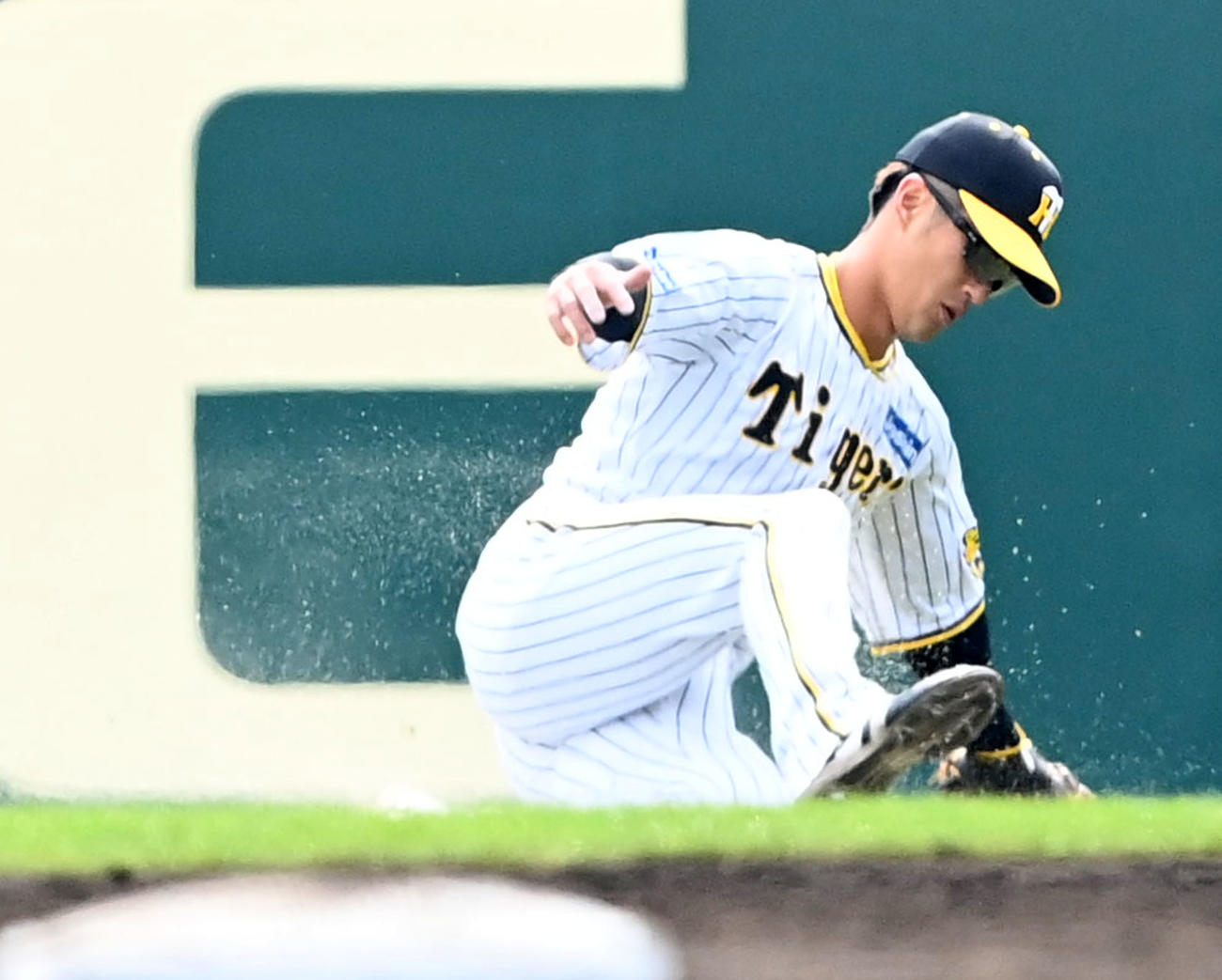 オープン戦・阪神対オリックス　3回表オリックス2死、シュウィンデルの右飛を好捕する板山（撮影・前岡正明）