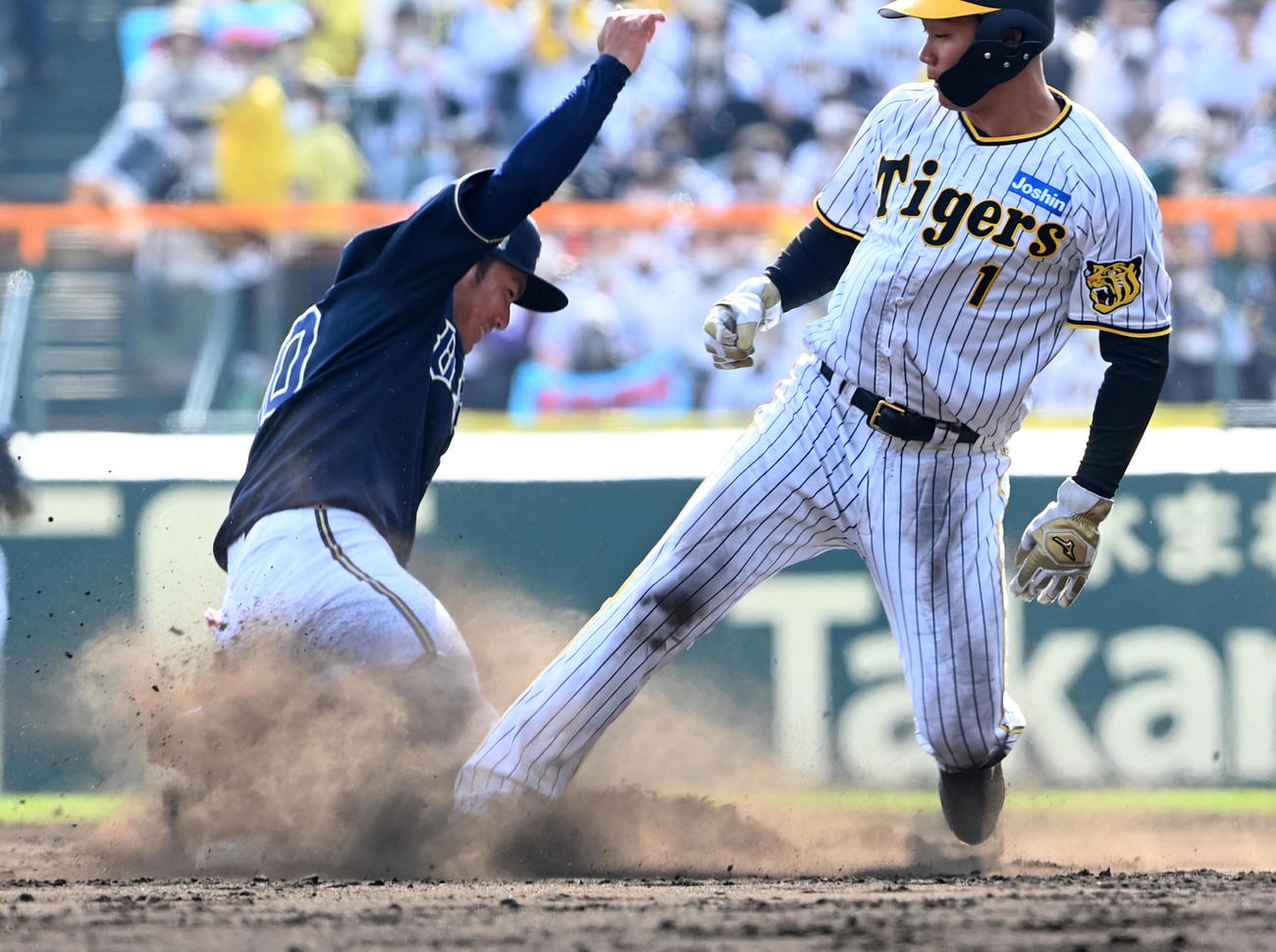 オープン戦・阪神対オリックス　5回裏阪神1死一塁、代走の森下は二塁盗塁に成功。野手大城（撮影・前岡正明）