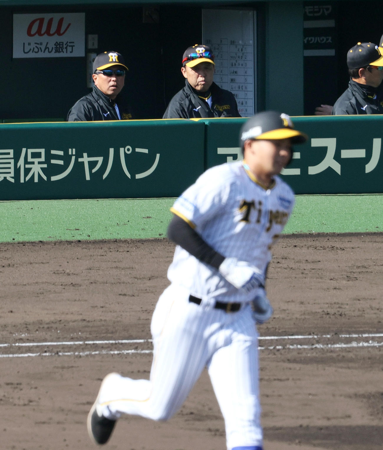 オープン戦・阪神対オリックス　4回裏阪神1死二塁、岡田監督（左から2人目）は左越え2点本塁打を放った井上（手前）をベンチから見つめる（撮影・上山淳一）