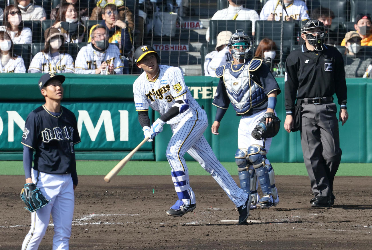 オープン戦・阪神対オリックス　4回裏阪神1死二塁、井上は左越え2点本塁打を放つ。投手曽谷（撮影・上山淳一）