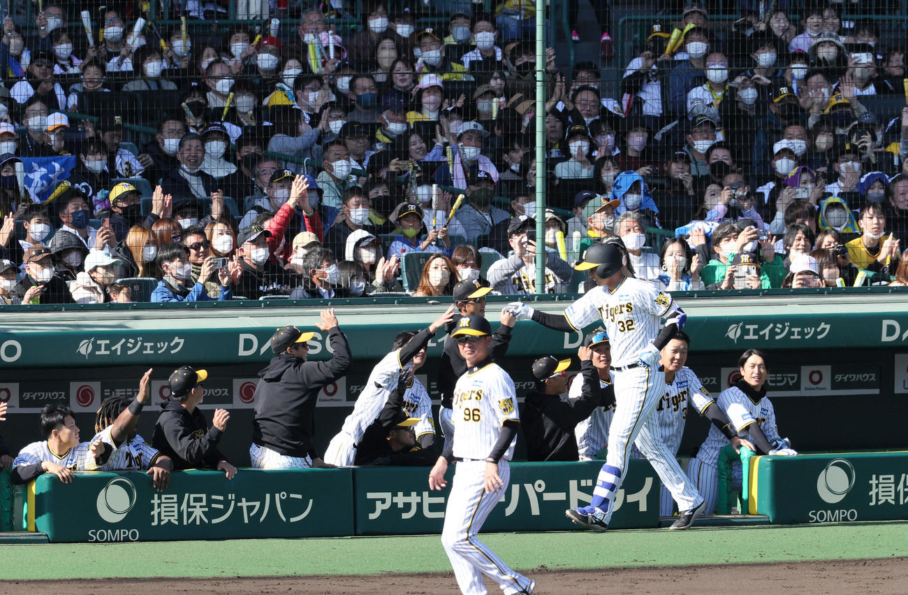 オープン戦・阪神対オリックス　4回裏阪神1死二塁、井上（手前右）は左越え2点本塁打を放ちナインの祝福を受ける（撮影・上山淳一）
