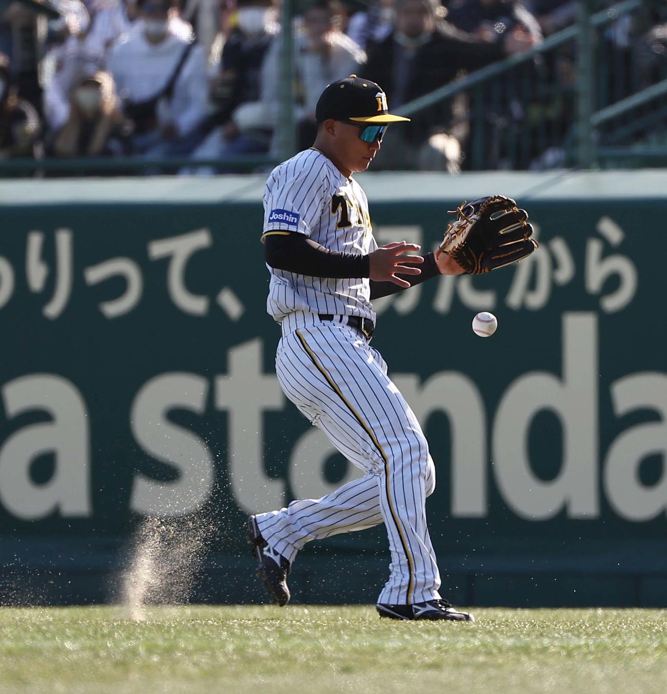 阪神対オリックス　6回表オリックス1死、森下は紅林の打球処理でもたつく（撮影・上田博志）