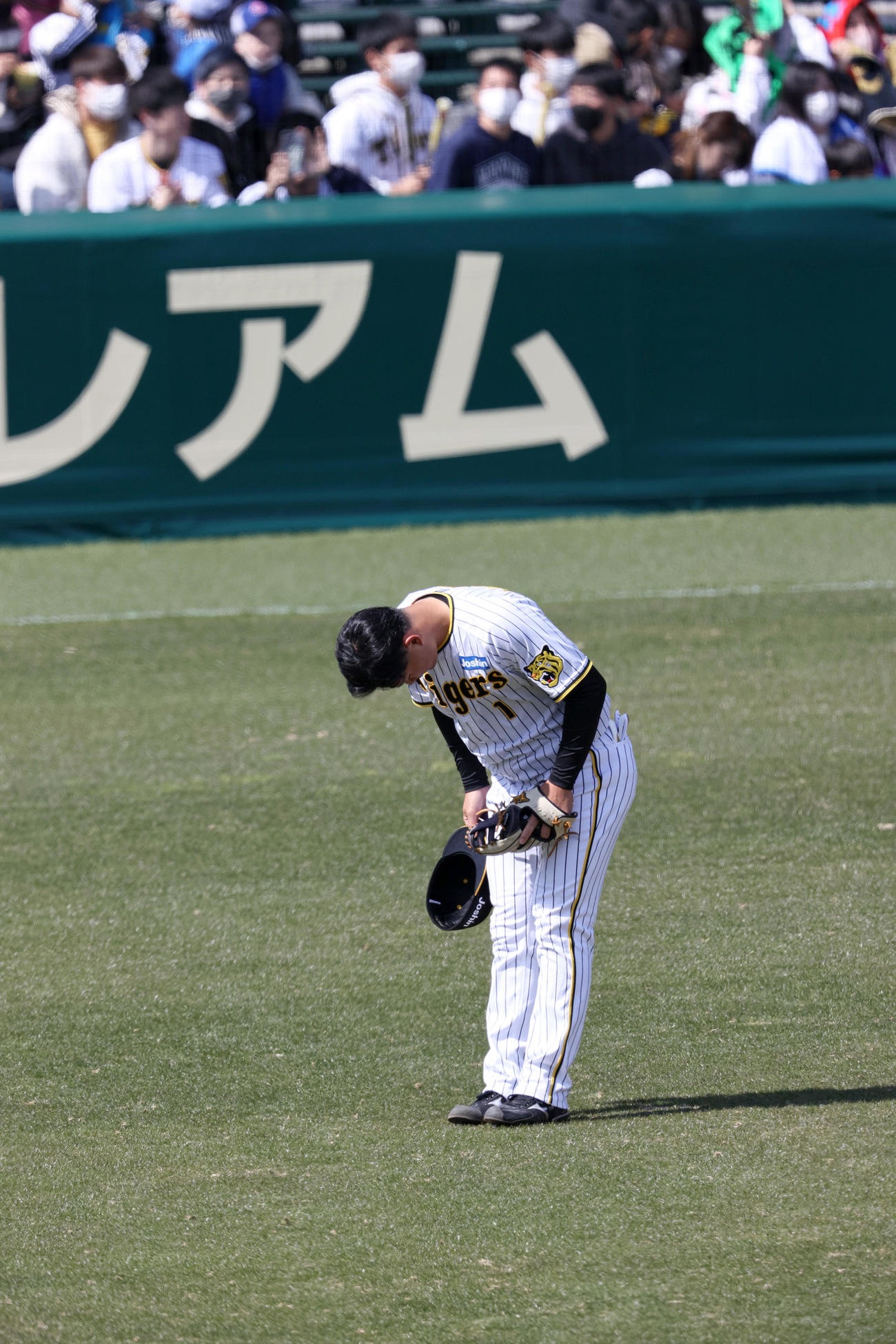 オープン戦・阪神対オリックス　スタメンで出場の阪神森下は1回の守備につきグラウンドに一礼する（撮影・上山淳一）