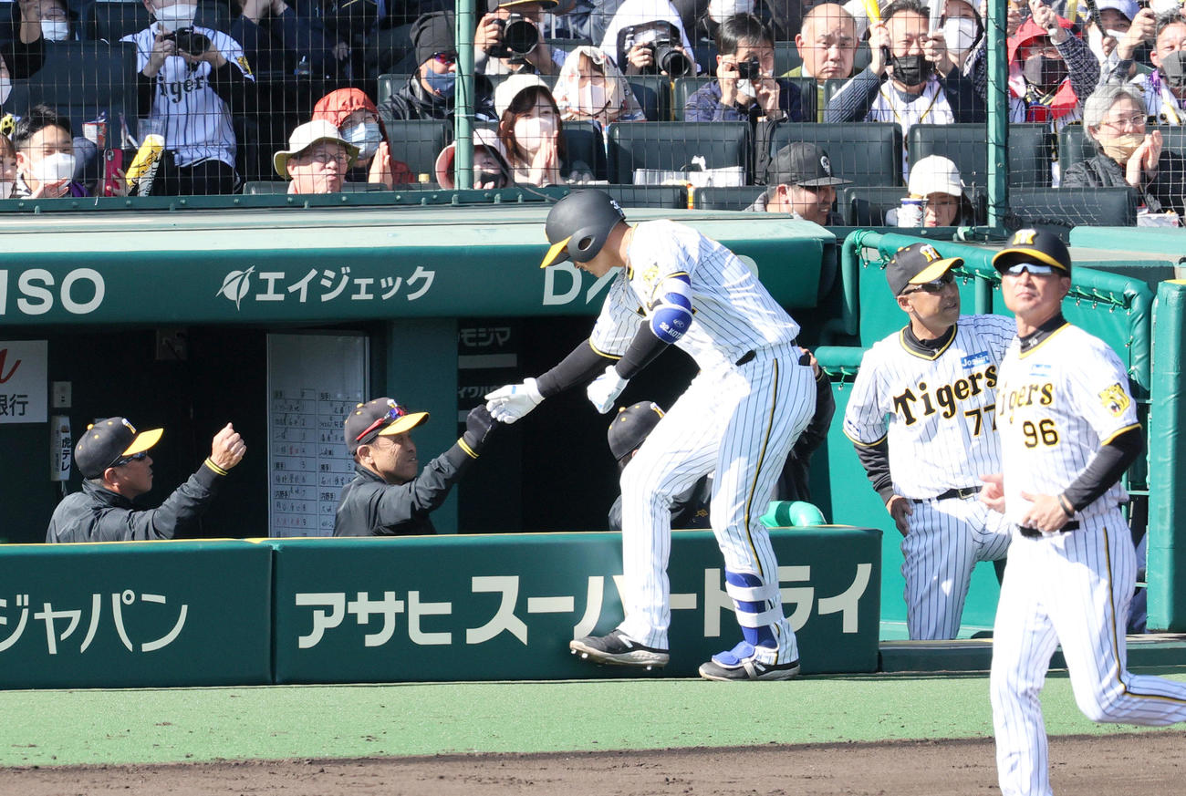 阪神対オリックス　4回裏阪神1死二塁、岡田監督（左から2人目）は左越え2点本塁打を放った井上（手前）を出迎える（撮影・上山淳一）