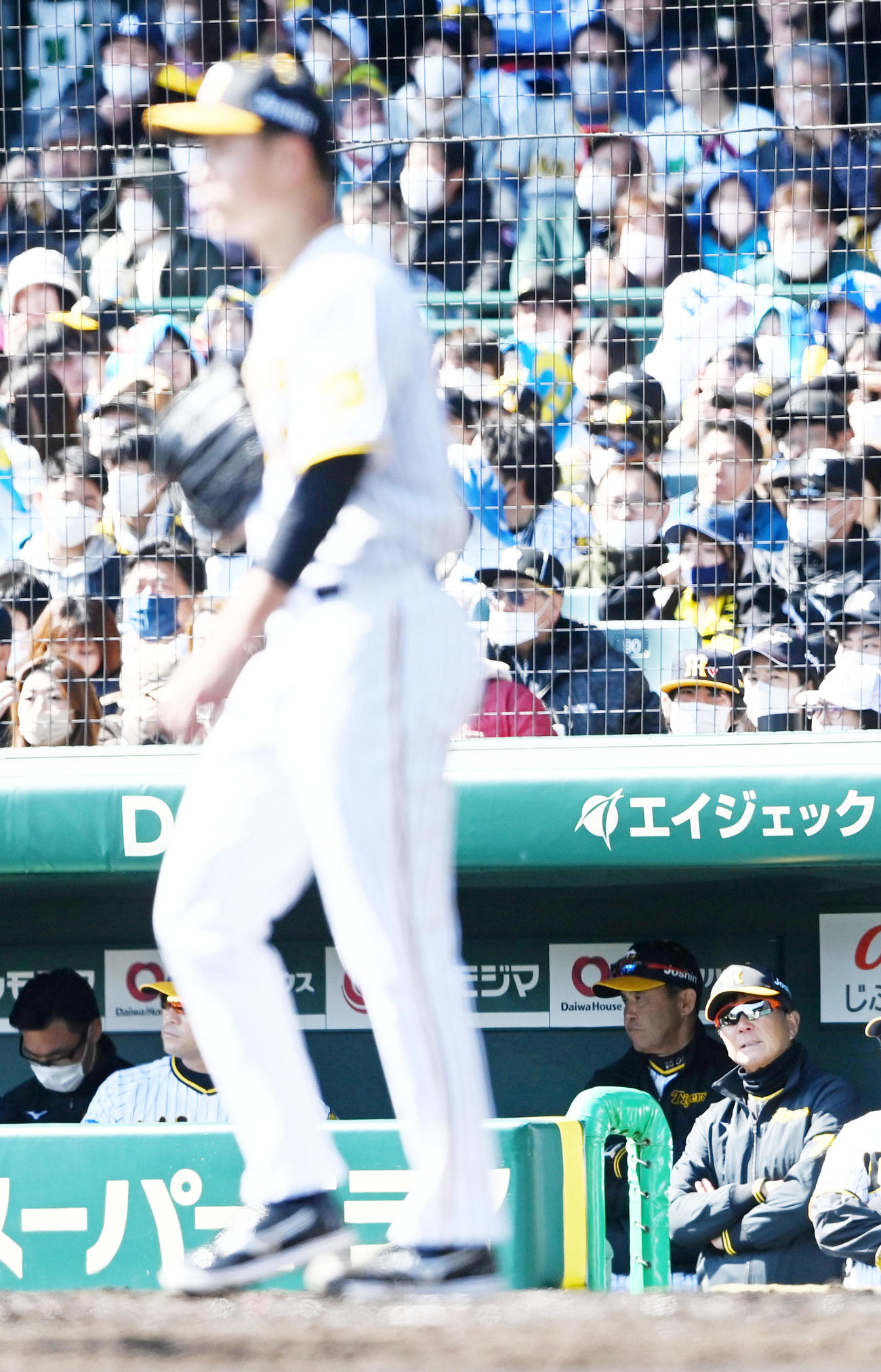 阪神対オリックス　2回表オリックス無死満塁、大竹が太田に中前2点適時打を打たれ厳しい表情の岡田監督（撮影・前岡正明）
