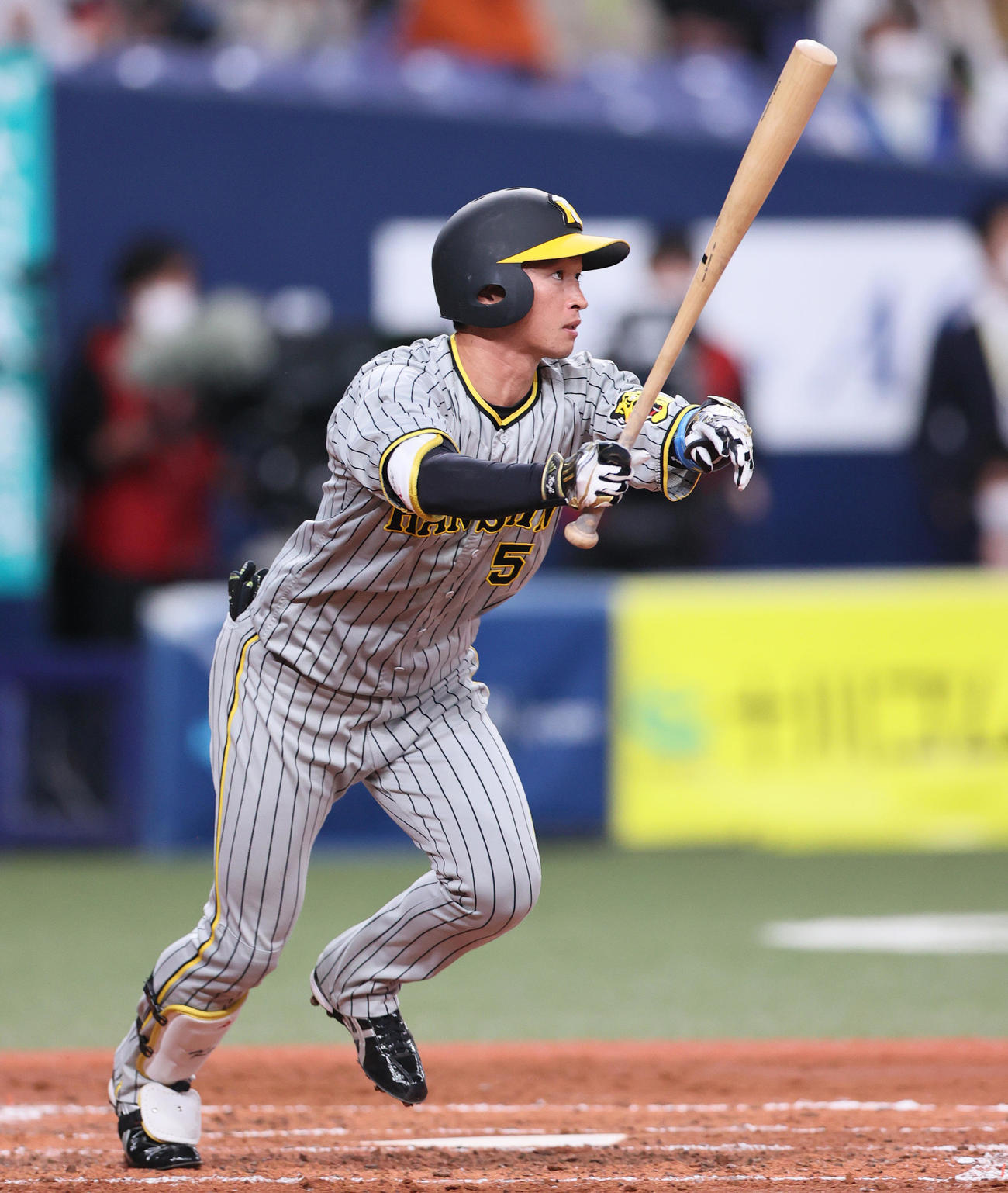 阪神対侍ジャパン　3回裏阪神2死、近本は右越え本塁打を放つ（撮影・上山淳一）