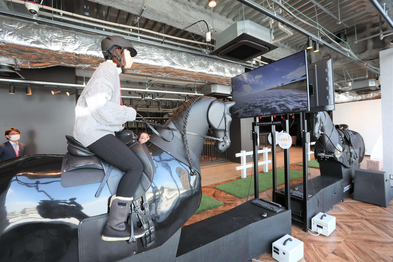 タワーイレブンにある乗馬体験ができる「乗馬倶楽部銀座」（撮影・黒川智章）