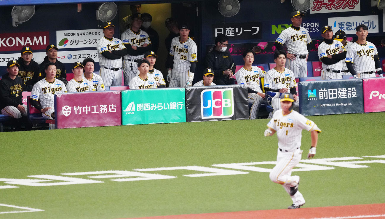 阪神対韓国代表　9回裏阪神2死、森下（手前）が中飛に倒れ、試合終了となり、ベンチで厳しい表情を見せる選手たち（撮影・江口和貴）