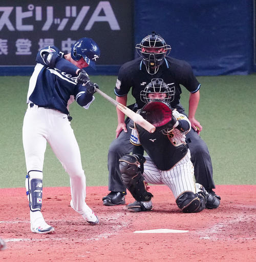 阪神対韓国代表　8回表韓国代表無死、右越えソロ本塁打を放つ金慧成（撮影・江口和貴）