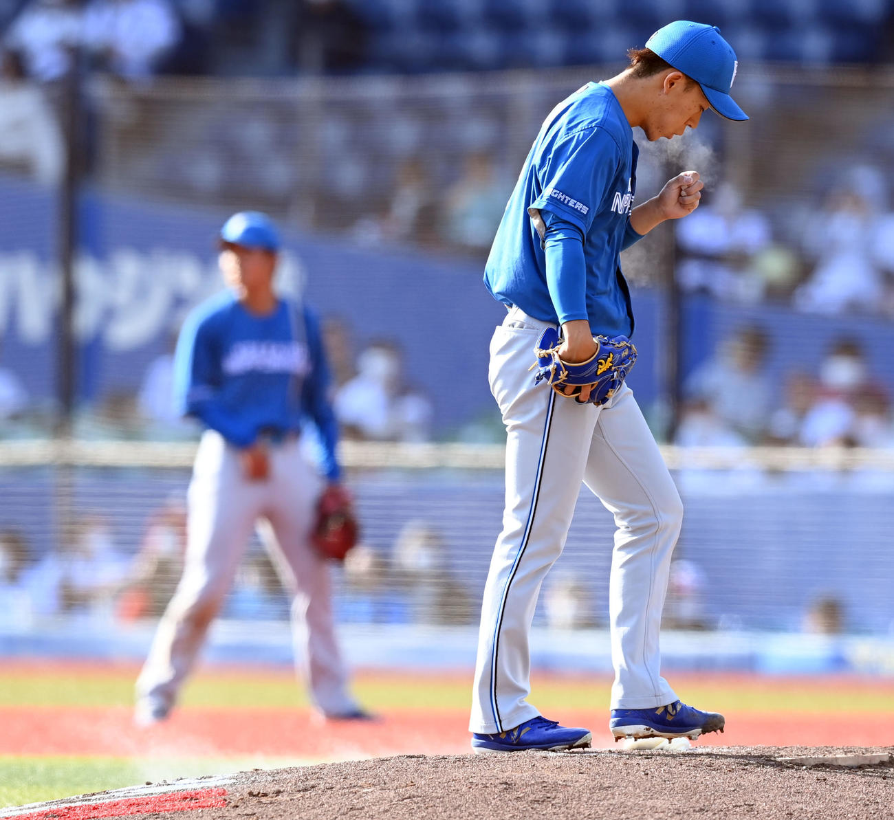 ロッテ対日本ハム　7回からマウンドに上がった日本ハム矢沢（撮影・たえ見朱実）