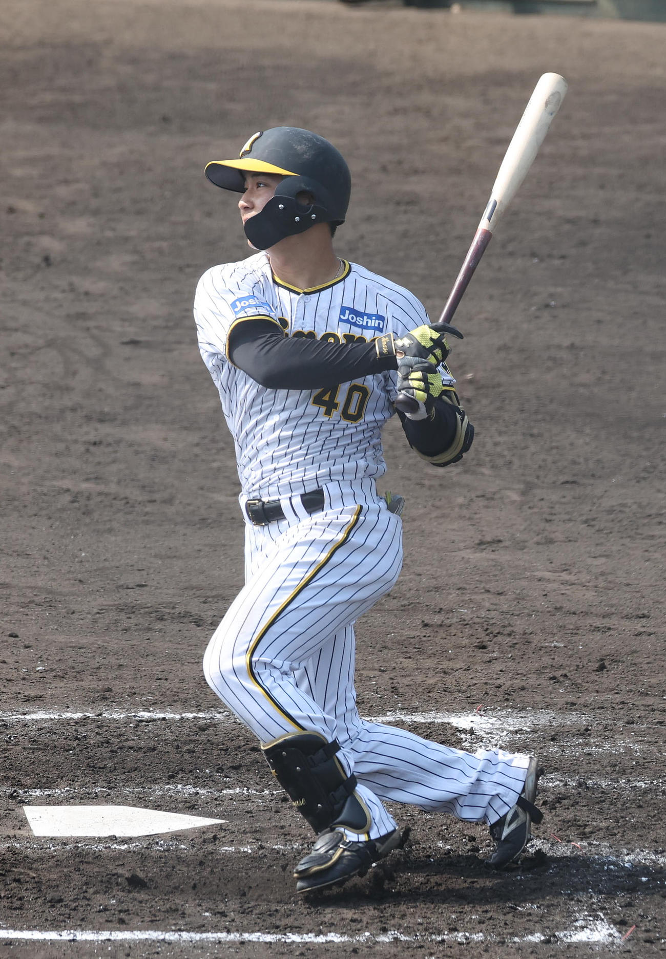 練習試合阪神対立命大　2回裏阪神無死一、二塁、井坪は左中間越え2点適時打を放つ（撮影・白石智彦）