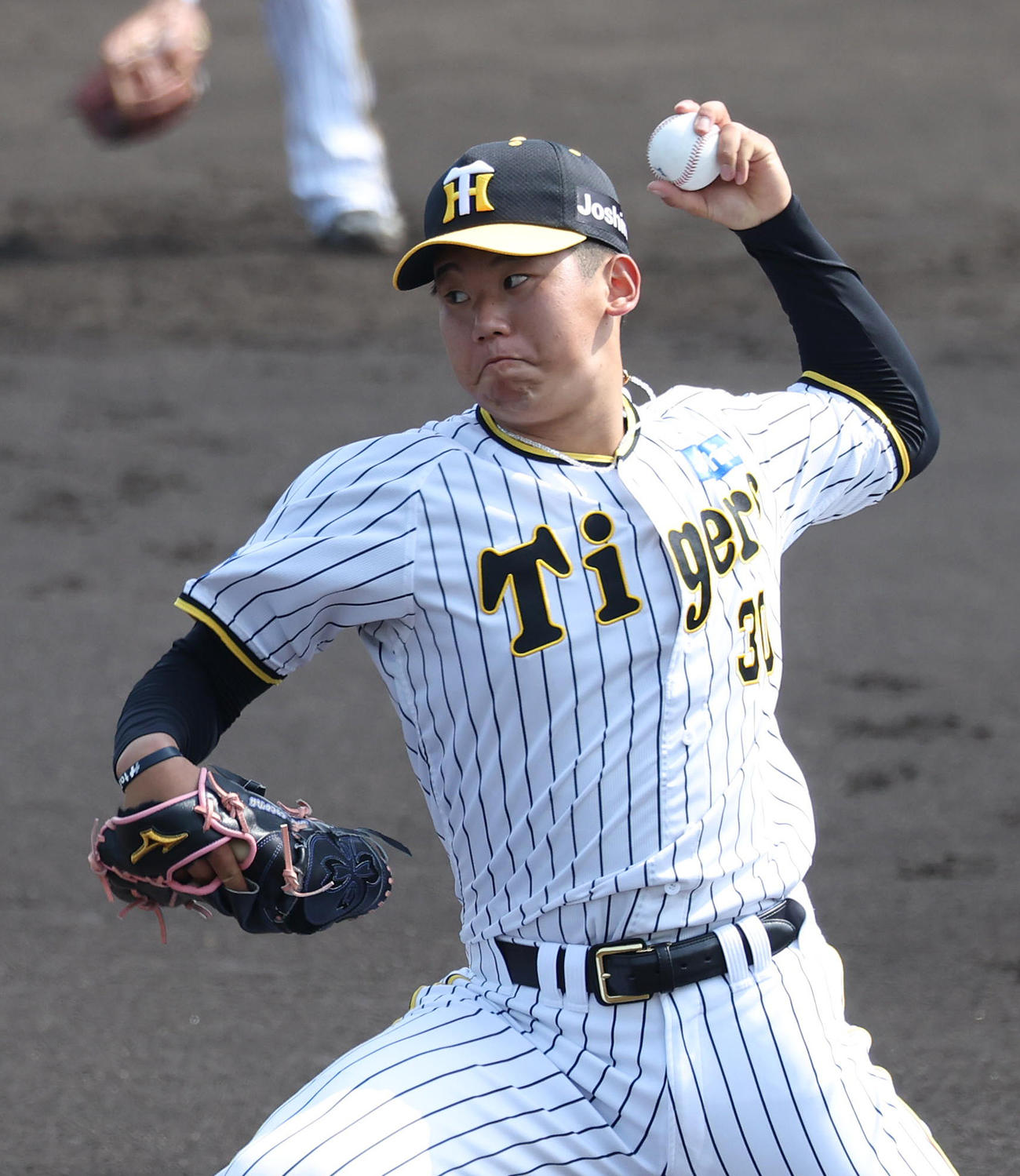 練習試合阪神対立命大　立命大戦に先発する門別（撮影・白石智彦）