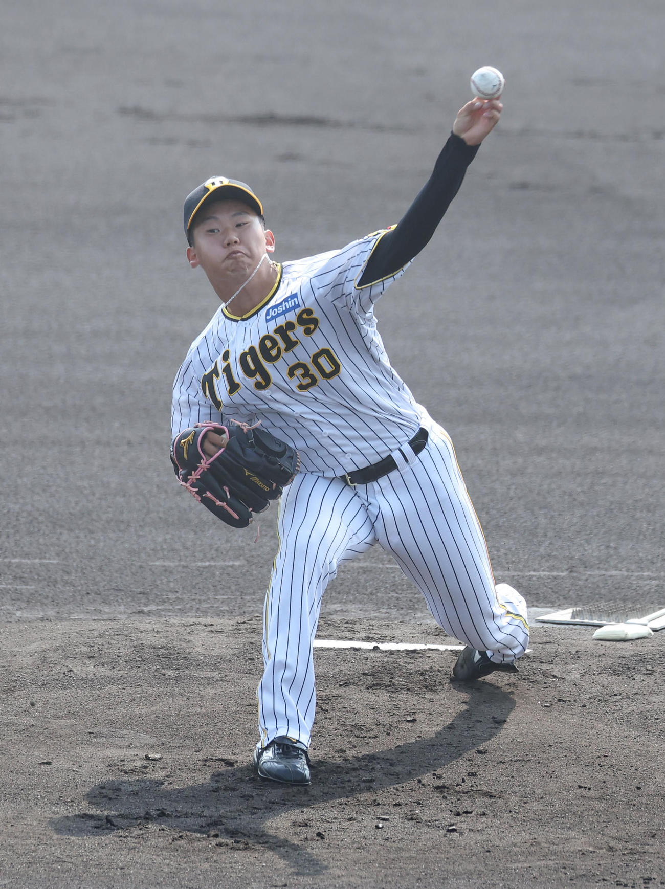 練習試合阪神対立命大　立命大戦に先発する門別（撮影・白石智彦）
