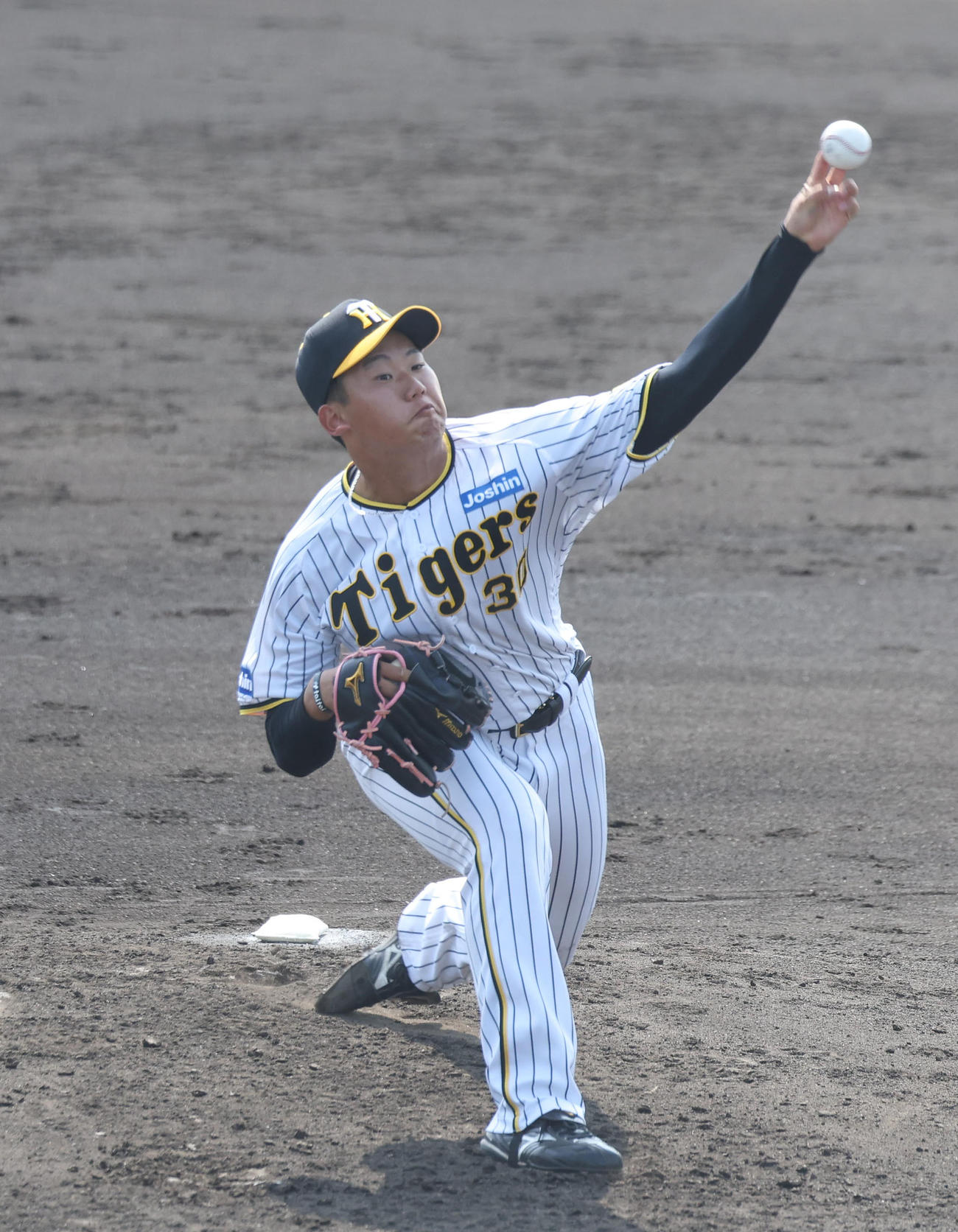 練習試合阪神対立命大　立命大戦に先発する門別（撮影・白石智彦）