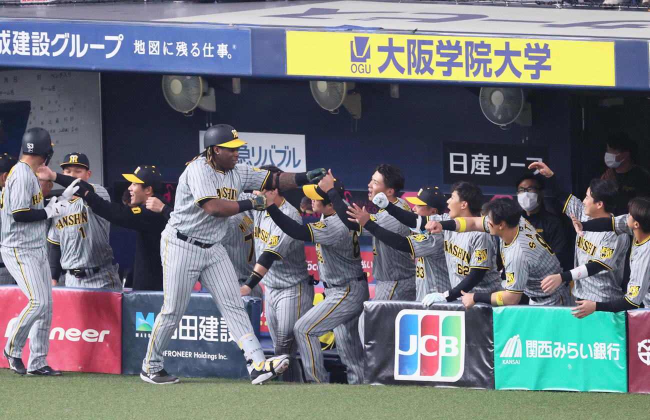 オープン戦・オリックス対阪神　6回表阪神1死二塁、ミエセス（手前右）は左越え2点本塁打を放ちナインの祝福を受ける（撮影・上山淳一）