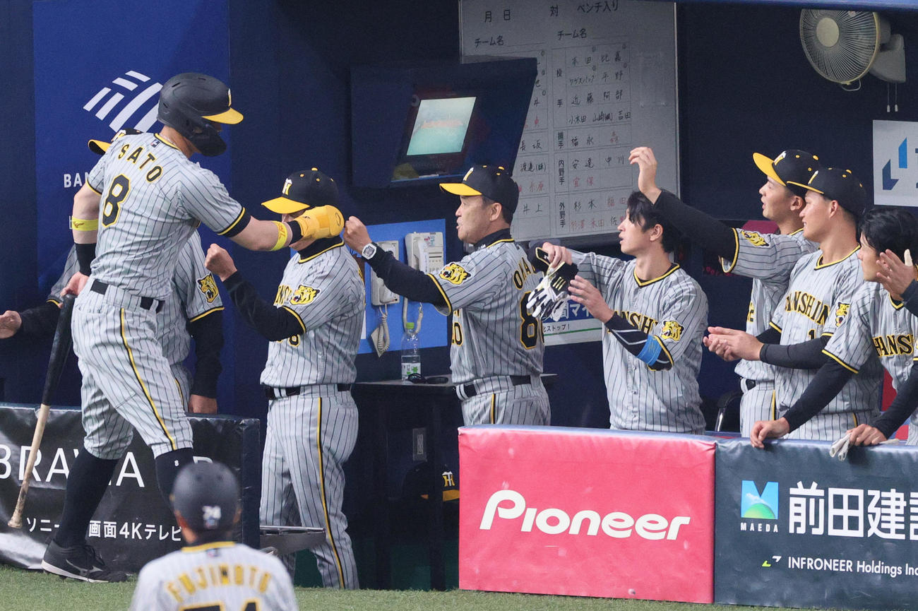 オープン戦・オリックス対阪神　4回表阪神2死一、三塁、岡田監督（左から4人目）は高山の中前適時打で生還の佐藤輝（手前）を出迎える（撮影・上山淳一）