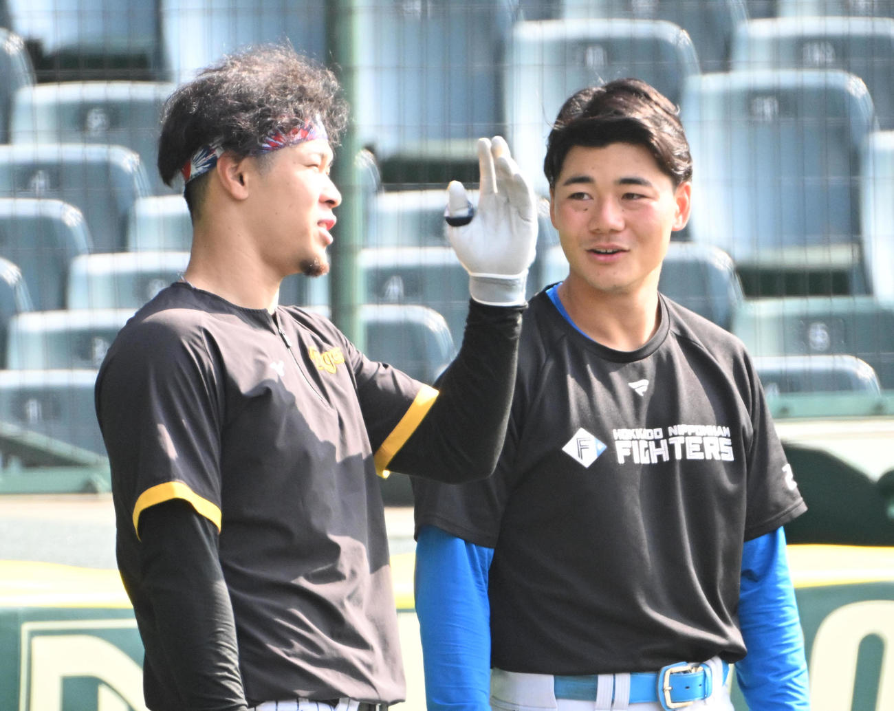 試合前に話す（右から）日ハム清宮、阪神佐藤輝（撮影・石井愛子）