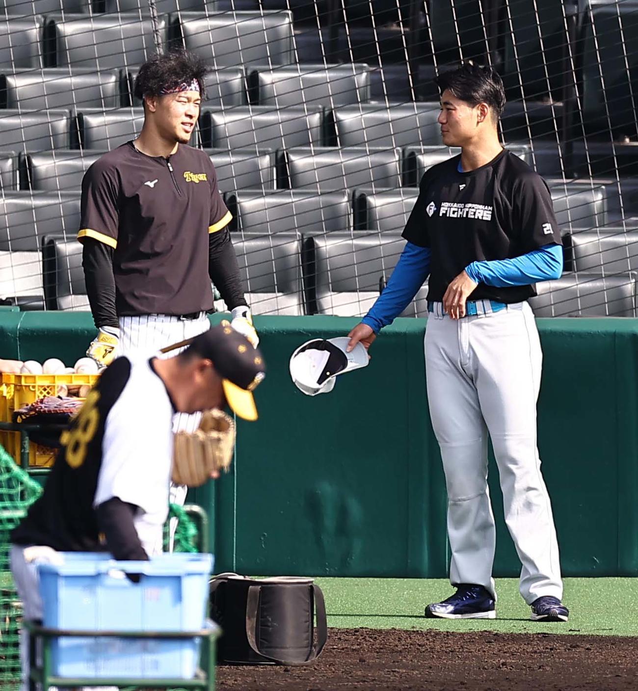 阪神対日本ハム　清宮（右）と話をする佐藤輝（撮影・上田博志）