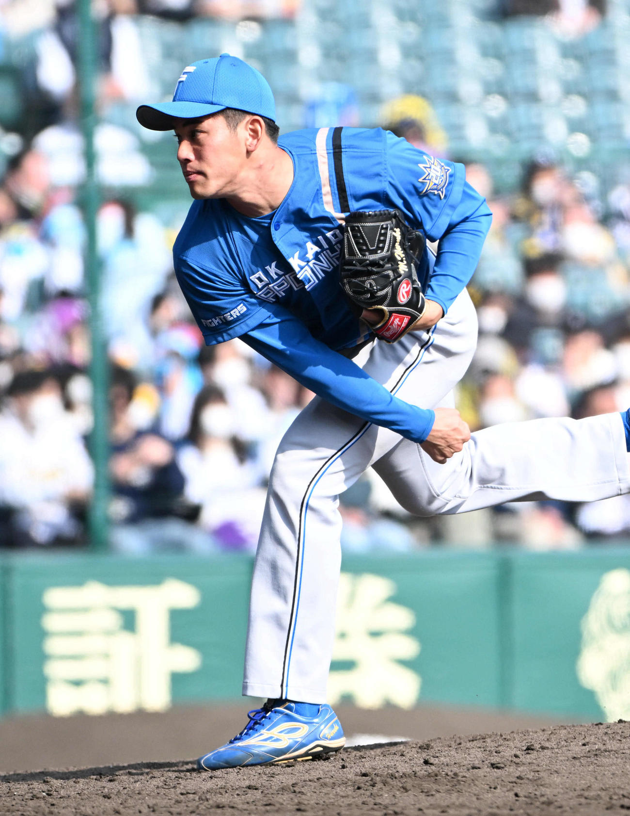 阪神対日本ハム　6回裏3番手日ハム3番手日ハム宮内（撮影・石井愛子）