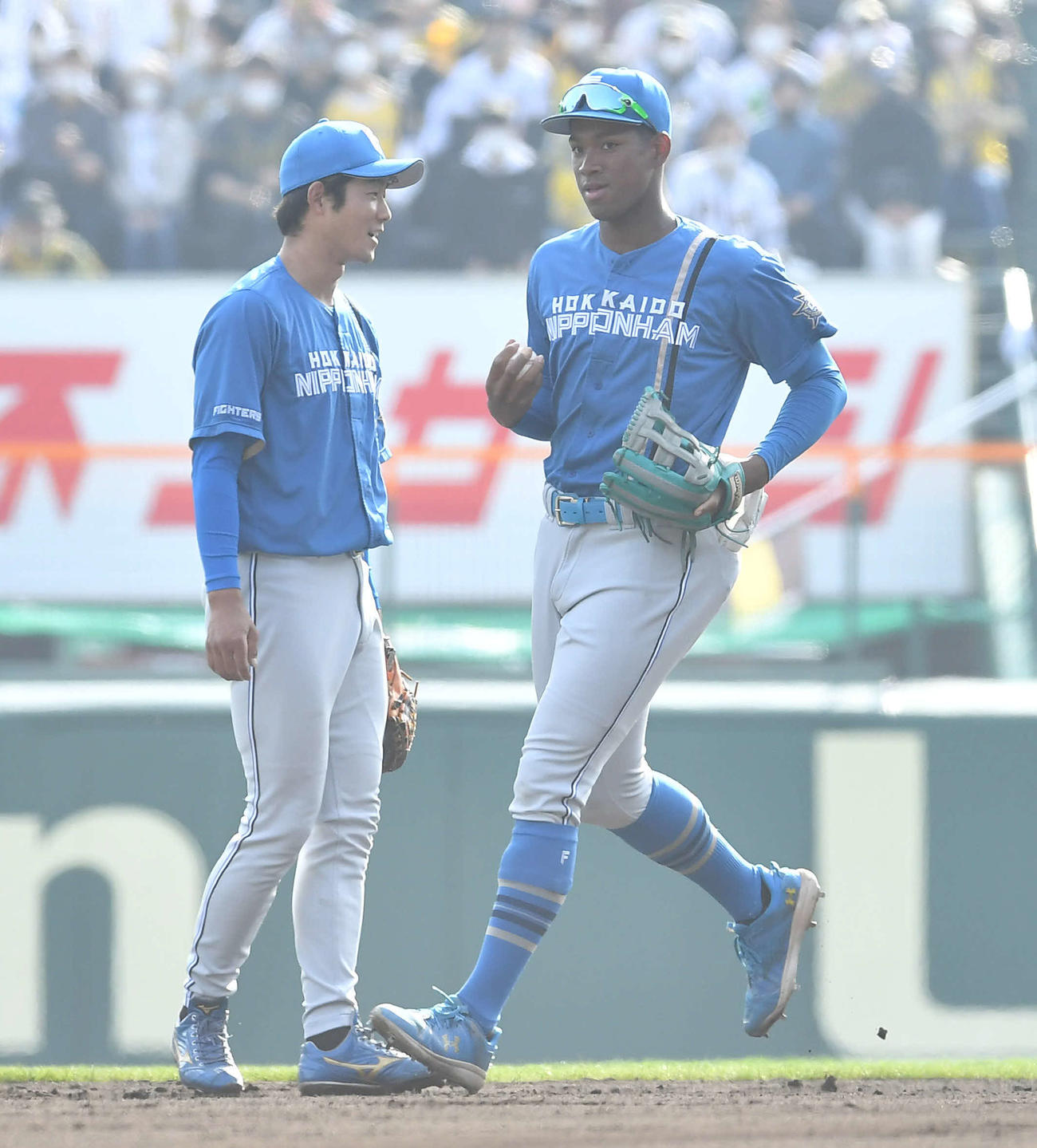 阪神対日本ハム　8回裏阪神無死、変則シフトで島田のライナーを捕球し、左直とした左翼手の万波（右）。左は二塁手の石井（撮影・岩下翔太）