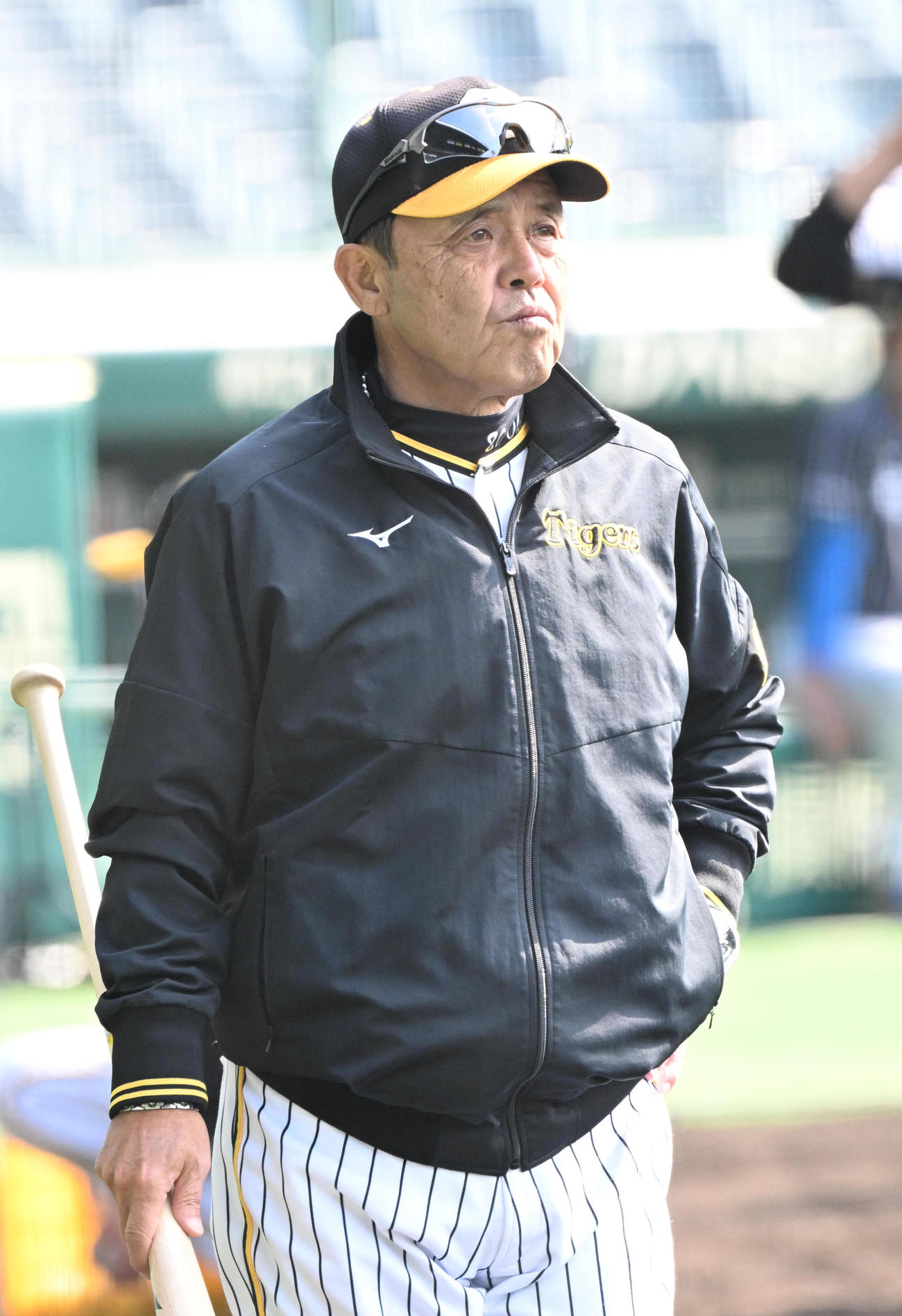 選手を見つめる阪神岡田監督（撮影・石井愛子）