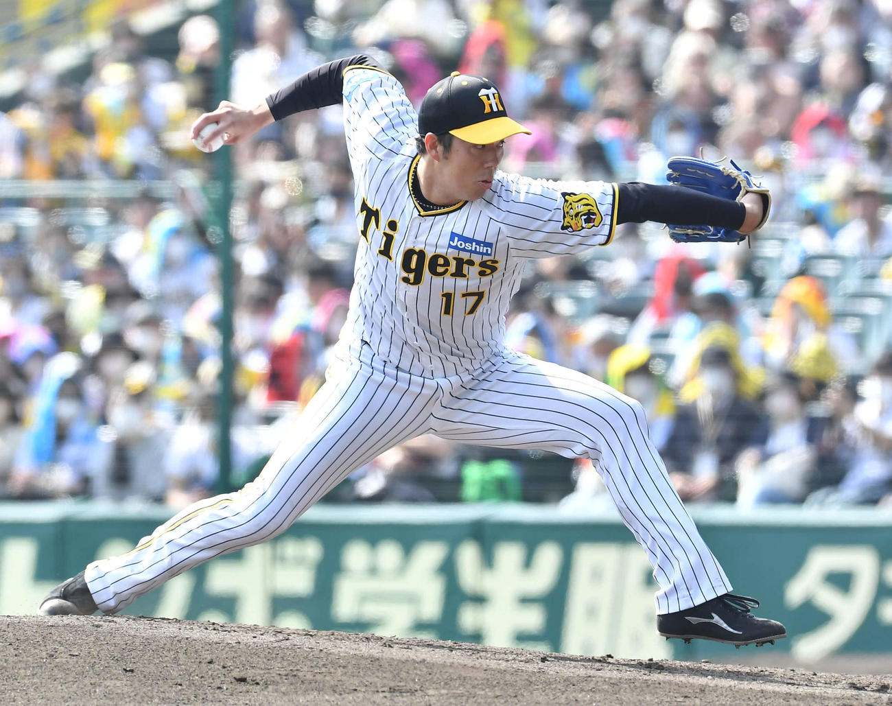 阪神対日本ハム　阪神先発の青柳（撮影・岩下翔太）