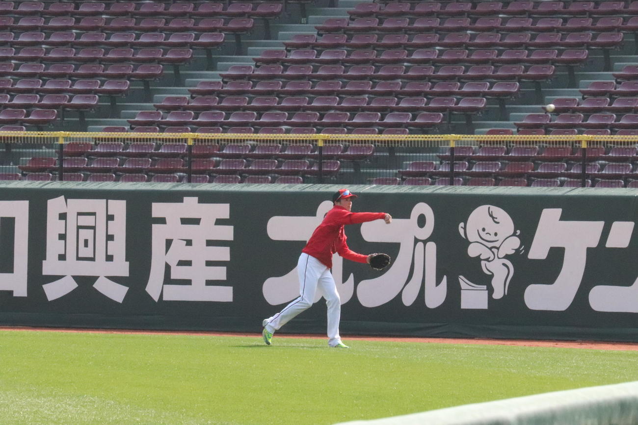 キャッチボールを再開し、右翼で打球捕をする広島森下暢仁投手（撮影・前原淳）