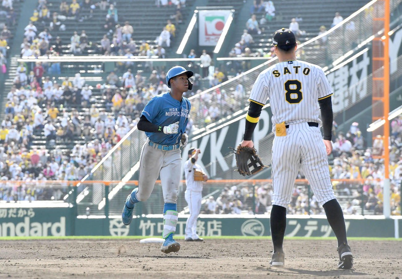 阪神対日本ハム　5回表日本ハム2死三塁、左越え2点本塁打を放ち、ダイヤモンドを一周する万波（撮影・岩下翔太）