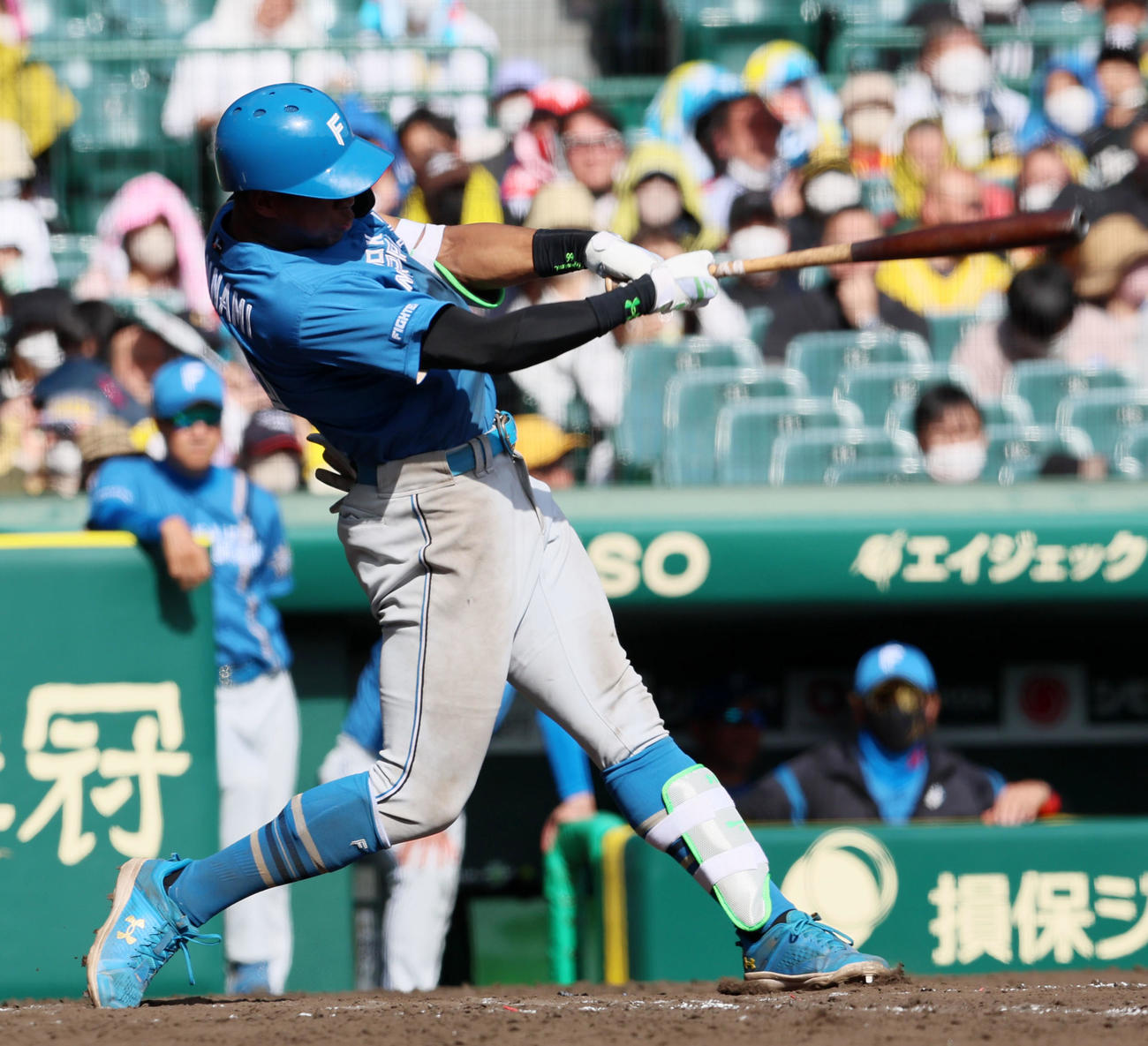 阪神対日本ハム　5回表日本ハム2死三塁、万波は左越え2点本塁打を放つ（撮影・加藤哉）