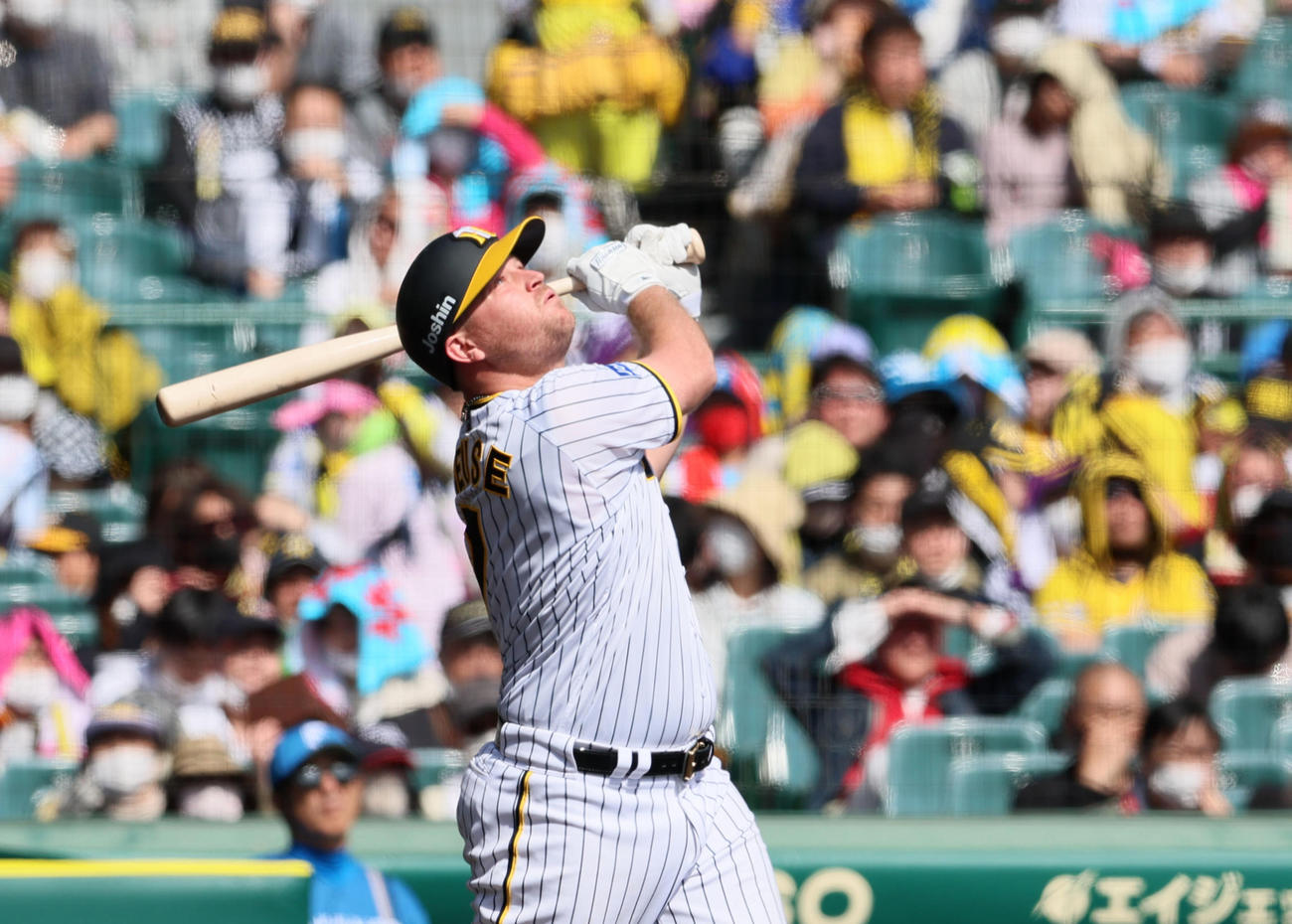 阪神対日本ハム　3回裏阪神無死、ノイジーは打ち上げ、二飛に倒れる（撮影・加藤哉）
