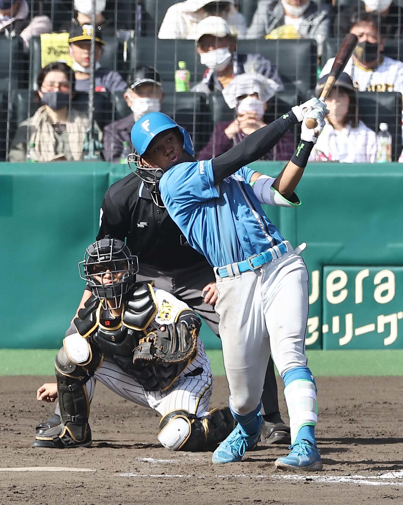 阪神対日本ハム　5回表日本ハム2死三塁、左越えに2点本塁打を放つ万波（撮影・上田博志）