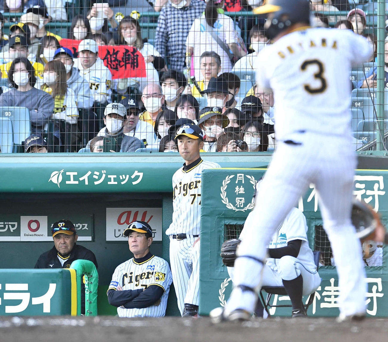 阪神対日本ハム　9回裏阪神2死、打席の大山を見つめる岡田監督（左端）（撮影・岩下翔太）