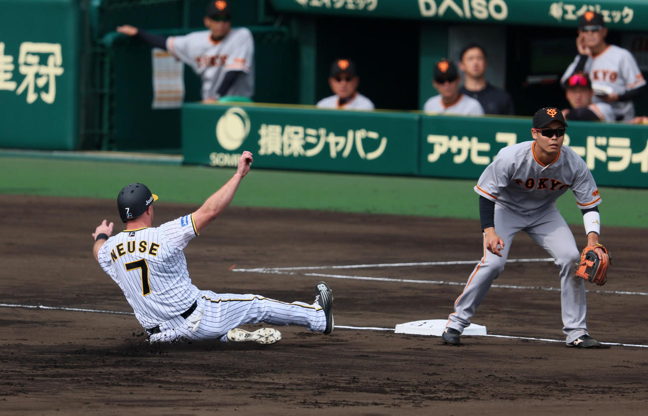 阪神対巨人　4回裏阪神無死二塁、二塁走者ノイジーは佐藤輝の左飛で三塁へ進塁（撮影・加藤哉）