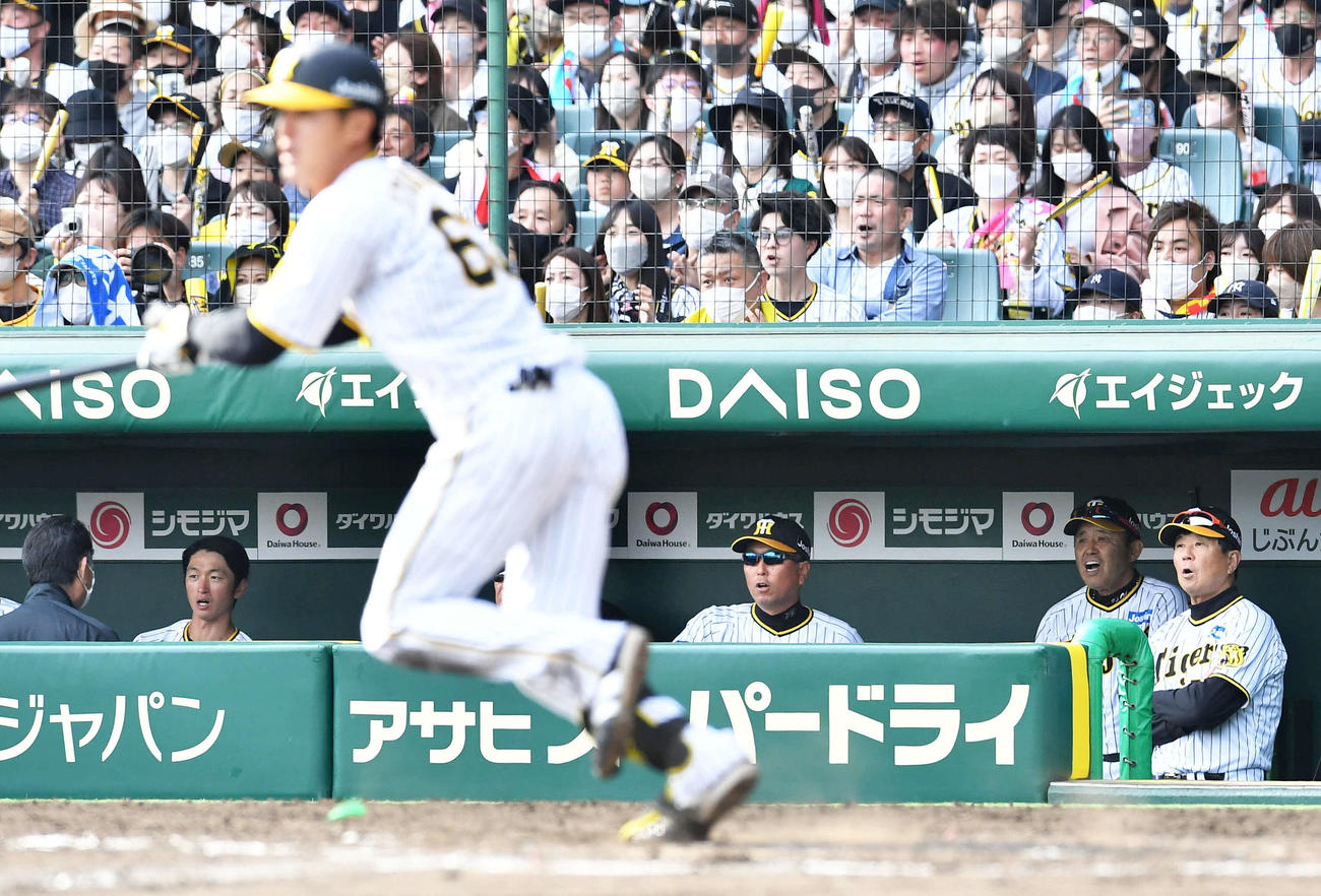 阪神対巨人　6回裏阪神無死満塁、板山の逆転2点適時打に雄たけびを上げる岡田監督（右から2人目）（撮影・岩下翔太）