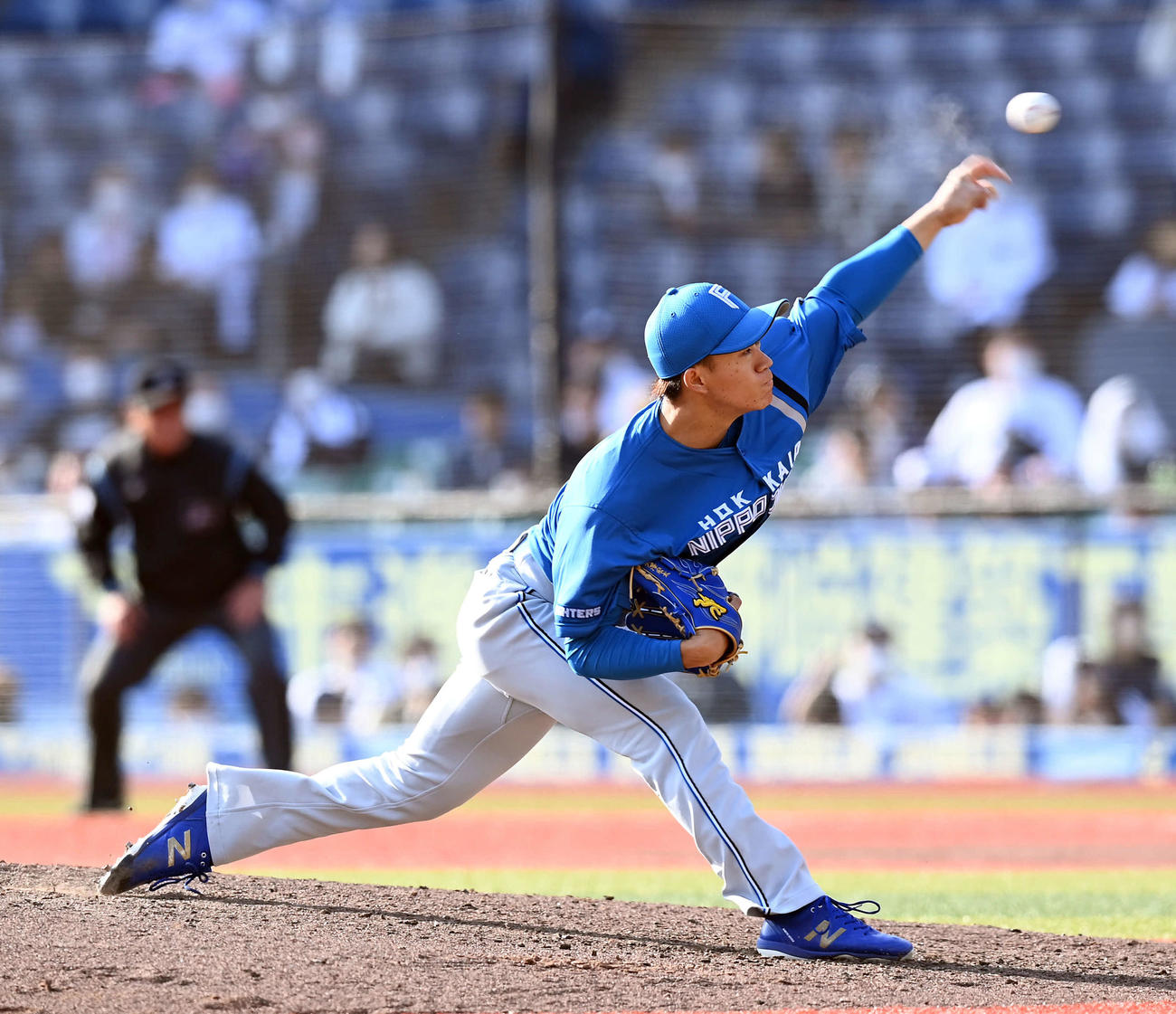 日本ハム矢沢宏太（2023年3月8日撮影）