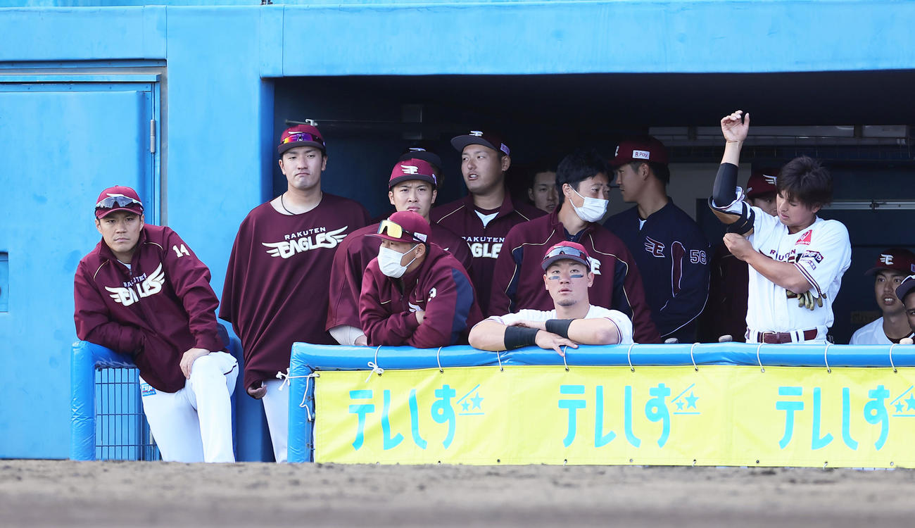 楽天対オリックス　9回裏楽天の攻撃をベンチから見つめる楽天則本（左端）ら（撮影・足立雅史）