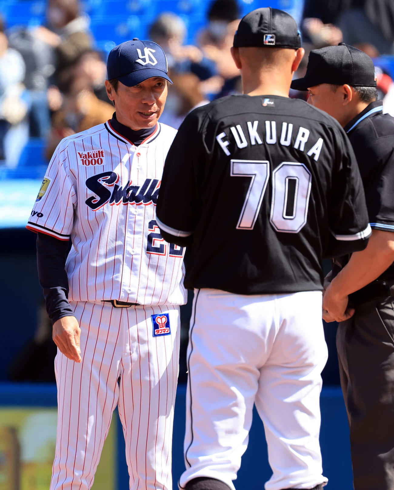ヤクルト対ロッテ　試合前メンバー交換する高津監督（奥）と福浦ヘッドコーチ（撮影・浅見桂子）