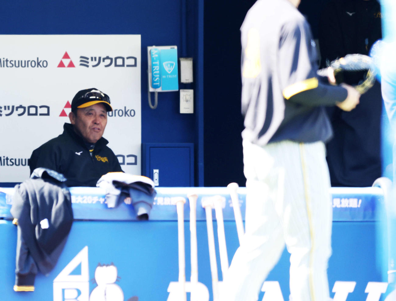 DeNA対阪神　試合前、練習を見る阪神岡田監督（撮影・河田真司）
