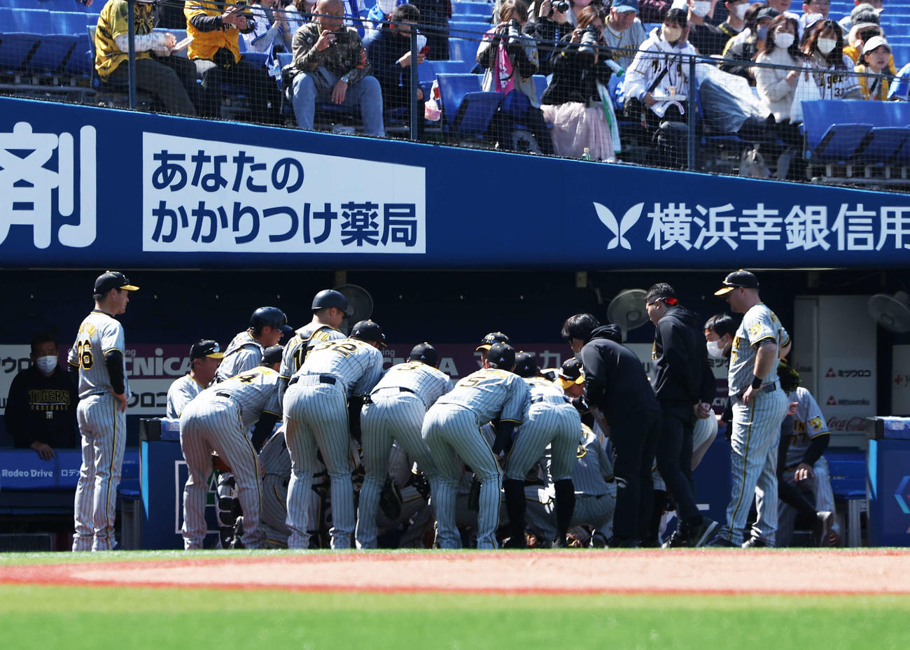 DeNA対阪神　試合前円陣を組む阪神の選手たち（撮影・河田真司）