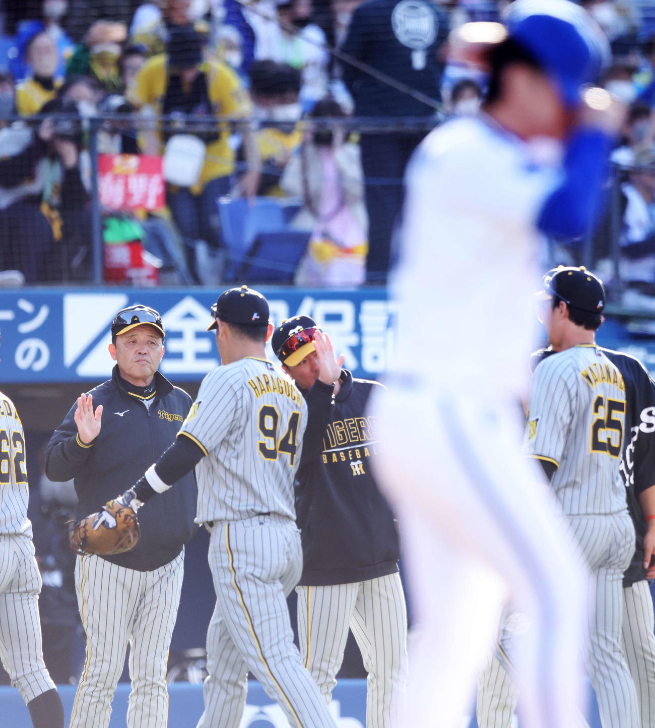 DeNA対阪神　DeNAに勝利し、ナインを迎える阪神岡田監督（左）。手前はDeNA三浦監督（撮影・河田真司）