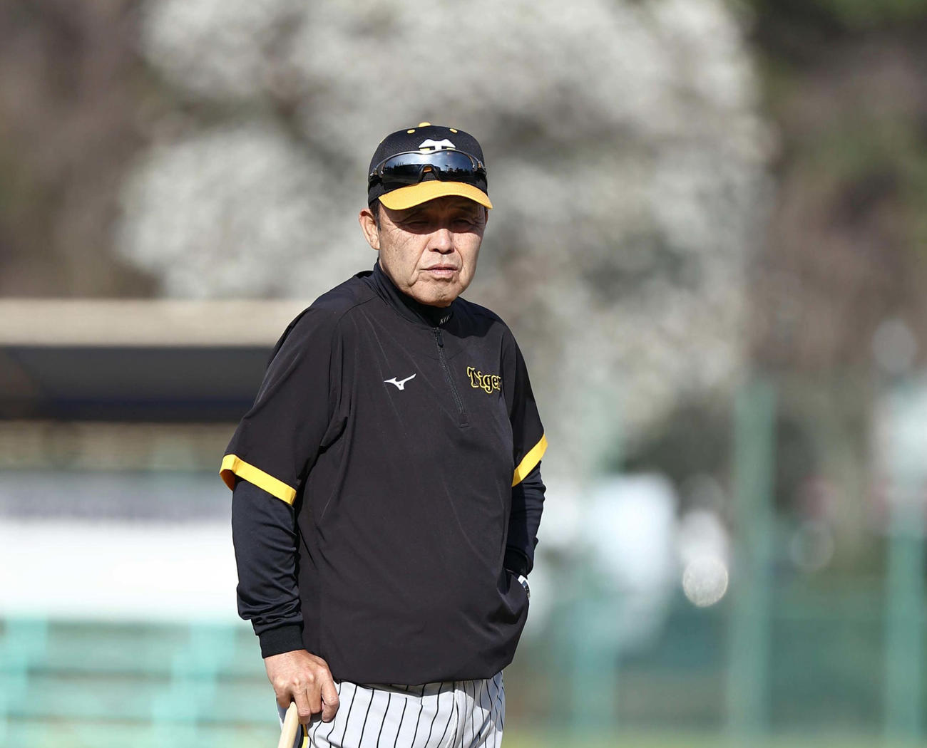 練習を見守る岡田監督（撮影・上田博志）