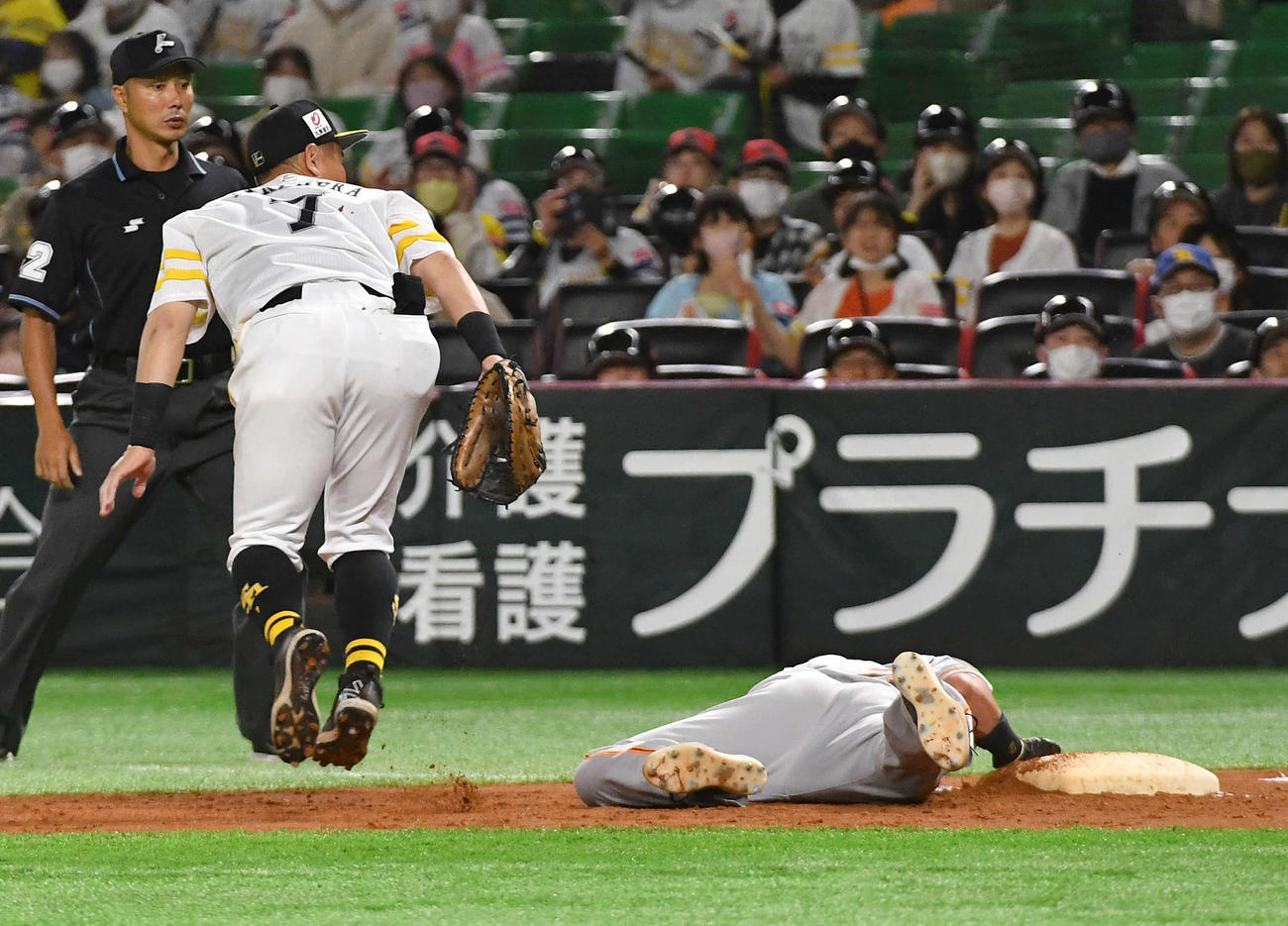 ソフトバンク対巨人　4回表巨人1死一塁、ガンケルのけん制球が手に当たり、その場にうずくまる一塁走者の吉川（撮影・岩下翔太）