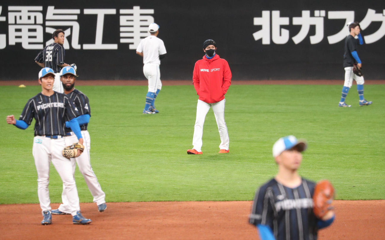 練習を見つめる新庄監督（撮影・佐藤翔太）