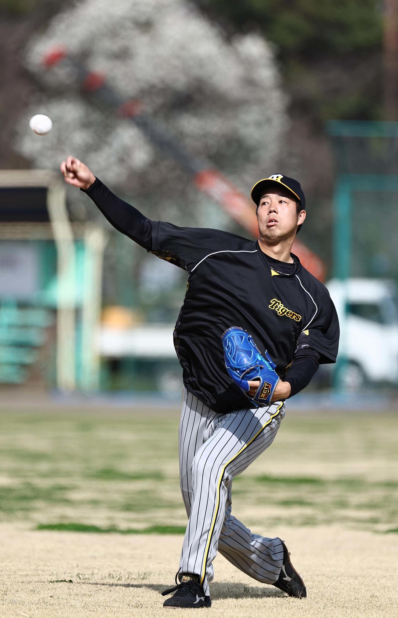 キャッチボールで調整する青柳（撮影・上田博志）