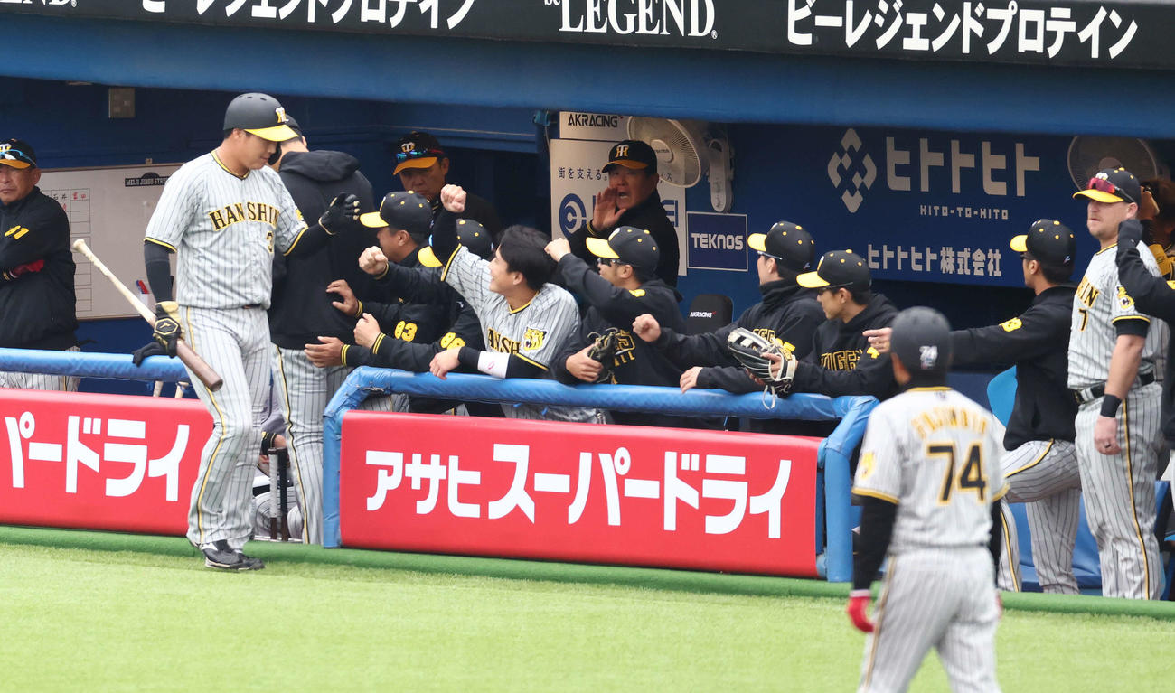 ヤクルト対阪神　1回表阪神2死三塁、佐藤輝の左前適時打で生還する大山（左）を迎えるベンチナイン（撮影・河田真司）